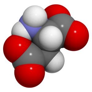 Amino Acids - Usagi Shop