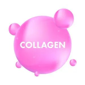 Collagen1 - Usagi Shop