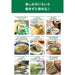 Asahi Aojiru Green Juice 21 Kinds of Vegetables 40 Sachets - Usagi Shop