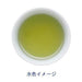 Itoen Oi Ocha Premium Green Tea Matcha Blend 20 Bags - Usagi Shop