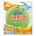 Morinaga Hi-Chew Soft Candy Yubari Melon Flavor 60 Pieces - Usagi Shop