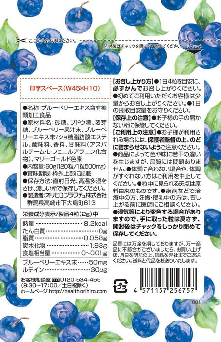 Orihiro Tasty Chewable Supplement Blueberry & Lutein 120 tablets - Usagi Shop