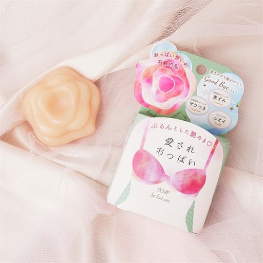 Pelican Aisare Oppai Soap for Bust Care - Usagi Shop