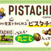 Pistachio chocolate 35g - Usagi Shop